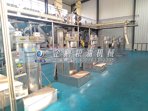 全自動(dòng)榨油機(jī)生產(chǎn)線的優(yōu)勢分析 全自動(dòng)榨油機(jī)生產(chǎn)線的優(yōu)勢分析